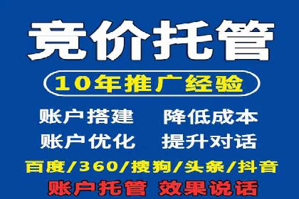谷歌SEM广告投放策略解析：一家旅游公司的成功案例